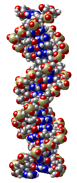 dna.gif